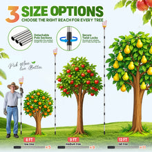 Load image into Gallery viewer, HANDPOINT Extendable Fruit Picker with Basket, Adjustable 6–13 FT Pole, Foam Cushion for Apples, Pears and Citrus
