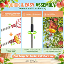 Load image into Gallery viewer, HANDPOINT Extendable Fruit Picker with Basket, Adjustable 6–13 FT Pole, Foam Cushion for Apples, Pears and Citrus