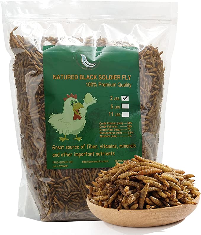 HANDPOINT Dried Black Soldier Fly Larvae for Wild Birds