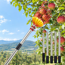 Load image into Gallery viewer, HANDPOINT Extendable Fruit Picker with Basket, Adjustable 6–13 FT Pole, Foam Cushion for Apples, Pears and Citrus
