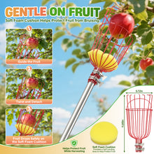 Load image into Gallery viewer, HANDPOINT Extendable Fruit Picker with Basket, Adjustable 6–13 FT Pole, Foam Cushion for Apples, Pears and Citrus

