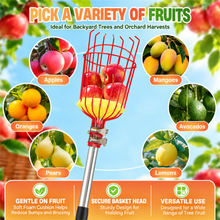 Load image into Gallery viewer, HANDPOINT Extendable Fruit Picker with Basket, Adjustable 6–13 FT Pole, Foam Cushion for Apples, Pears and Citrus
