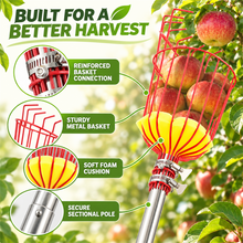 Load image into Gallery viewer, HANDPOINT Extendable Fruit Picker with Basket, Adjustable 6–13 FT Pole, Foam Cushion for Apples, Pears and Citrus
